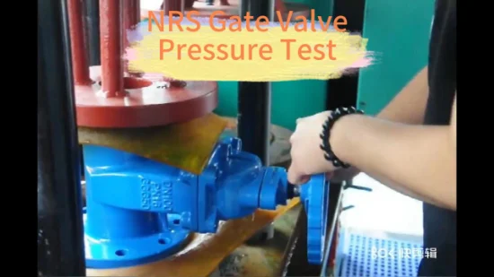 Class150 DN100 DIN3352 Resilient Seat Non Rising Stem Ductile Iron Gate Valve Nrs for Water